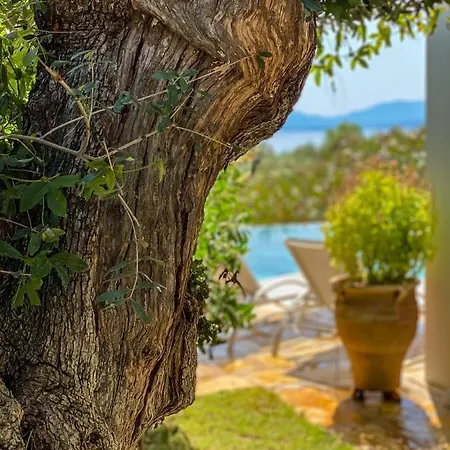 Seafront Prestige Pool Villas Vilă Barbati